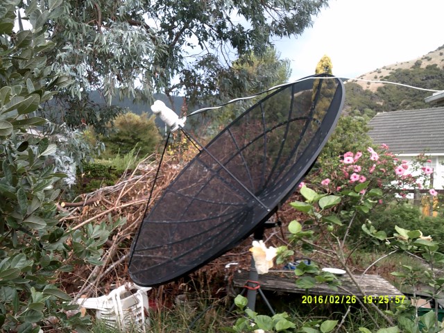 New PLL LNB on 2.3m dish